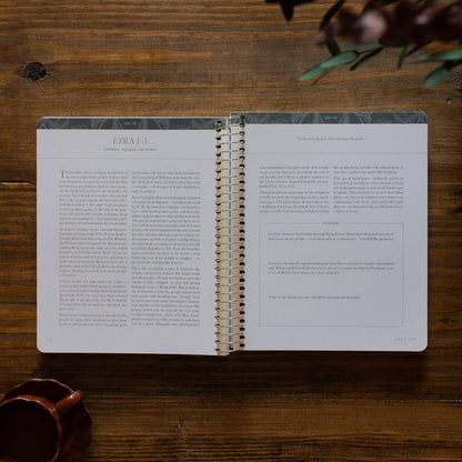 A Year in the Bible | Volume 2 | 365 Days of Discovering the Beauty of Jesus from Genesis to Revelation