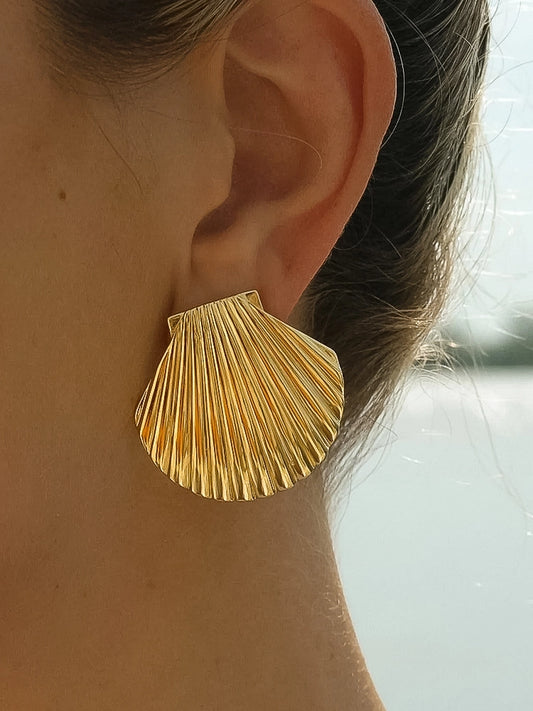 Cape Cod Shell Earrings
