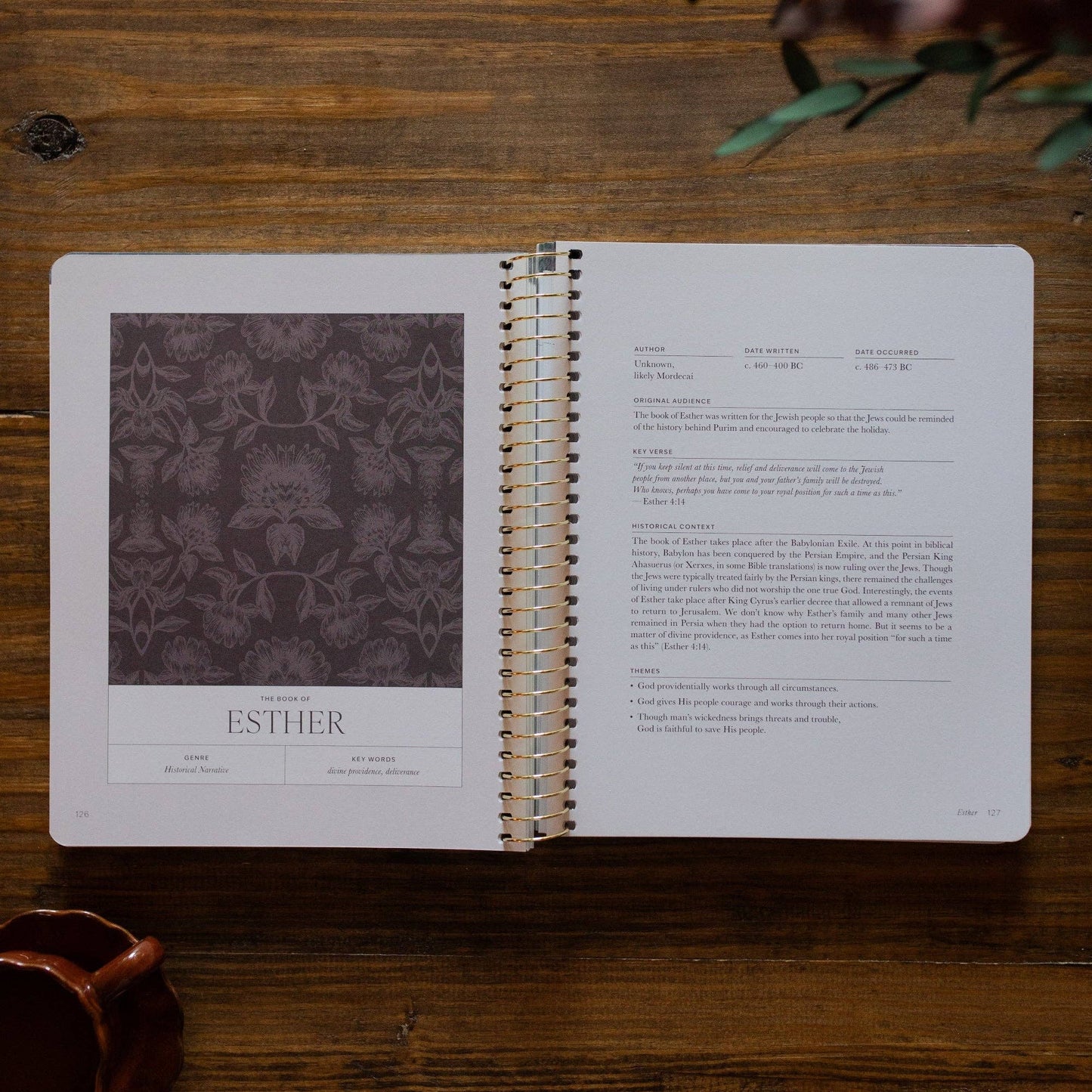 A Year in the Bible | Volume 2 | 365 Days of Discovering the Beauty of Jesus from Genesis to Revelation