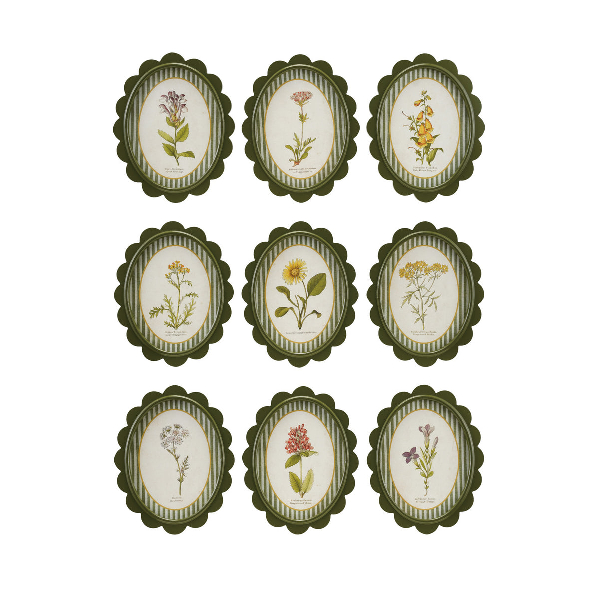 Scalloped Botanical Wall Art | 9 Styles