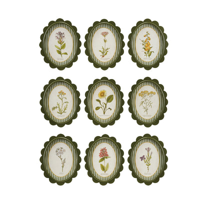 Scalloped Botanical Wall Art | 9 Styles
