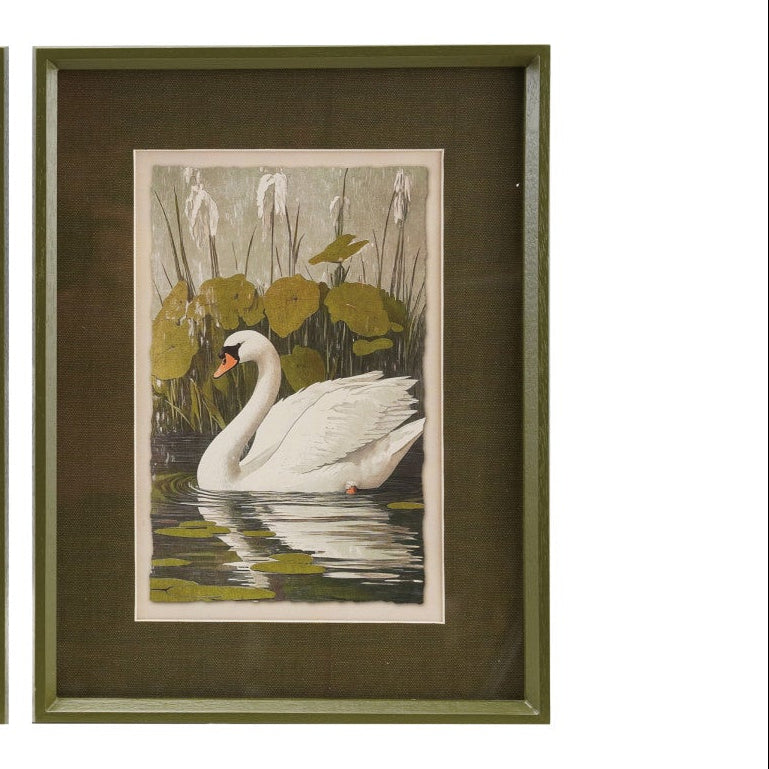 Swan Among the Lilies Framed Print