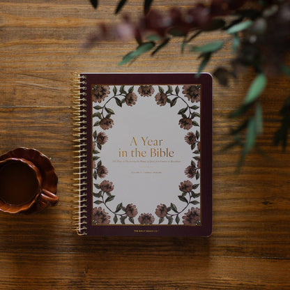 A Year in the Bible | Volume 2 | 365 Days of Discovering the Beauty of Jesus from Genesis to Revelation