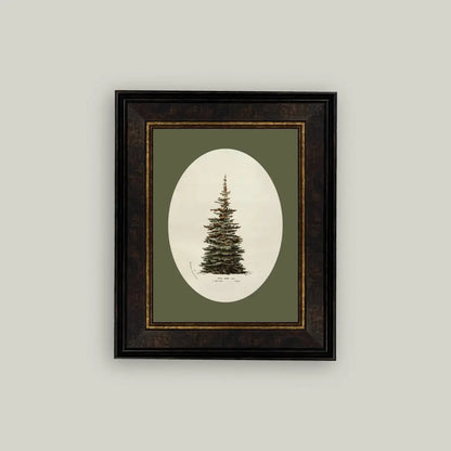Framed artwork of a pine tree on a green background