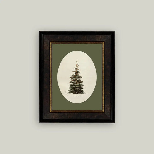 Framed artwork of a pine tree on a green background