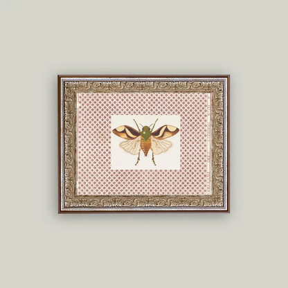 Beetle Moth Artwork